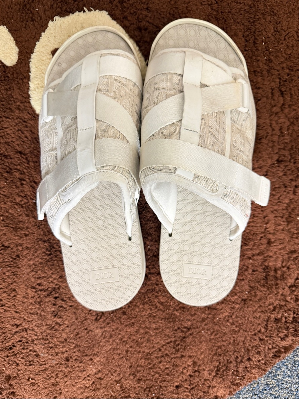 Dior Beige Slide Sandals - Neutral Strap Design